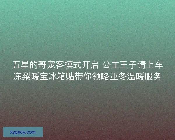 五星的哥宠客模式开启 公主王子请上车冻梨暖宝冰箱贴带你领略亚冬温暖服务